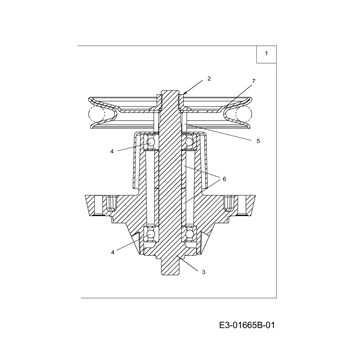 MTD008519
